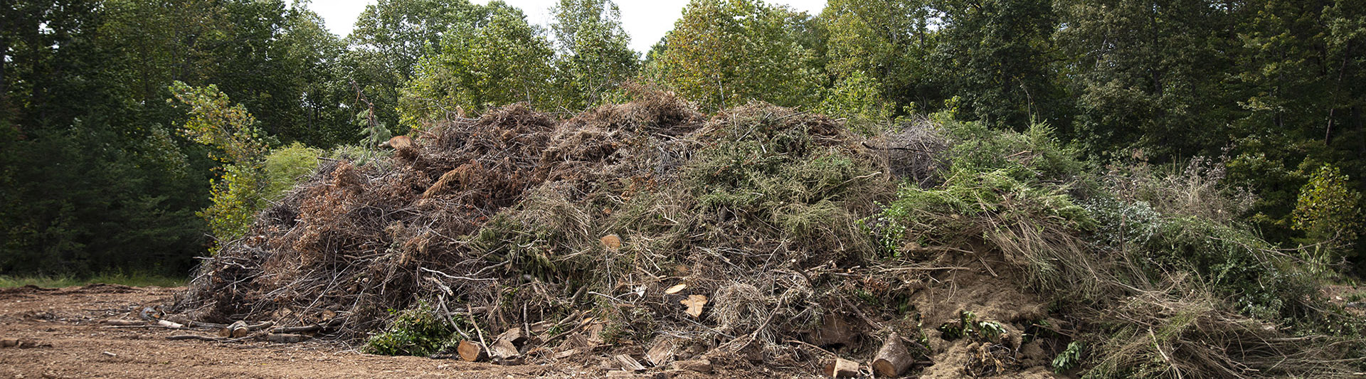 Brush Pile at Waste Management Facility