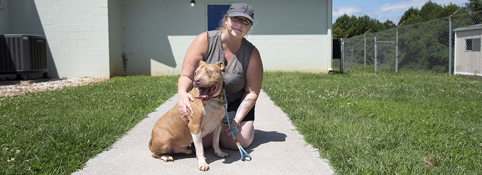 Dog at Animal Shelter